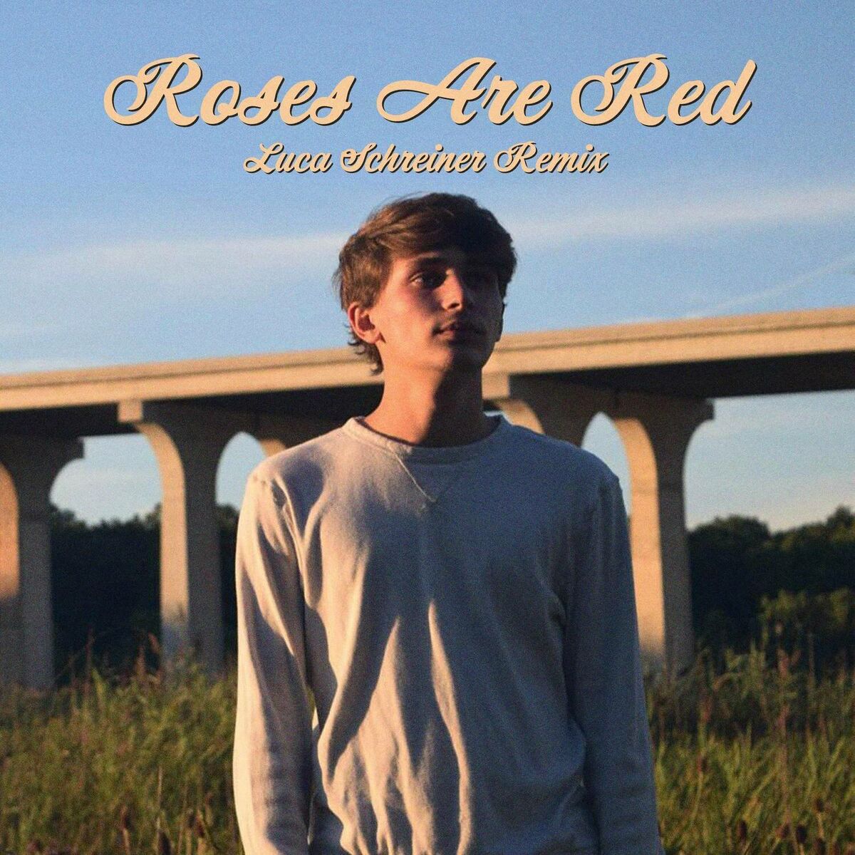 Album cover of Roses Are Red (Violets Are Blue)