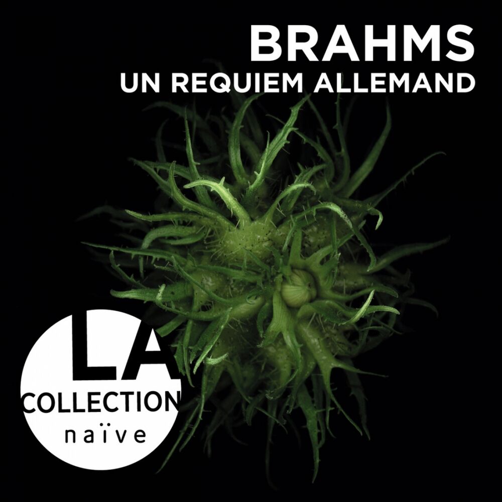 Picture of Brahms: Un requiem allemand, Op. 45