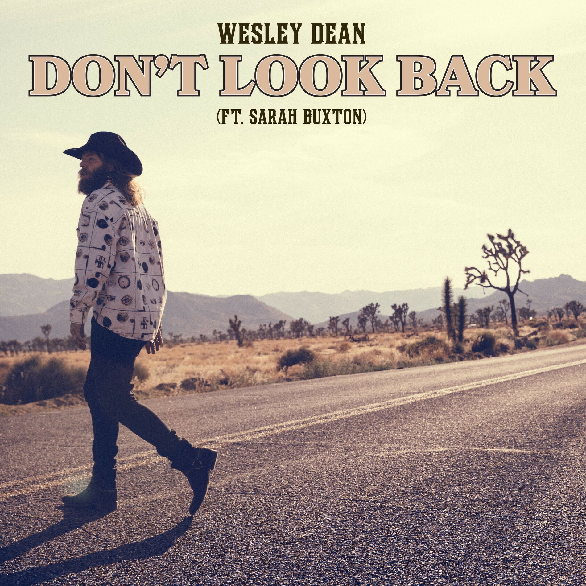 Album cover of Don't Look Back