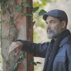 Cover of İçinde Bir Sızı Kalır