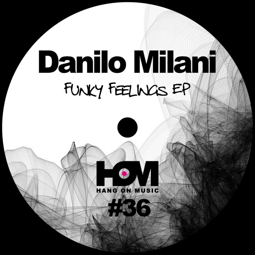 Picture of Funky Feelings EP