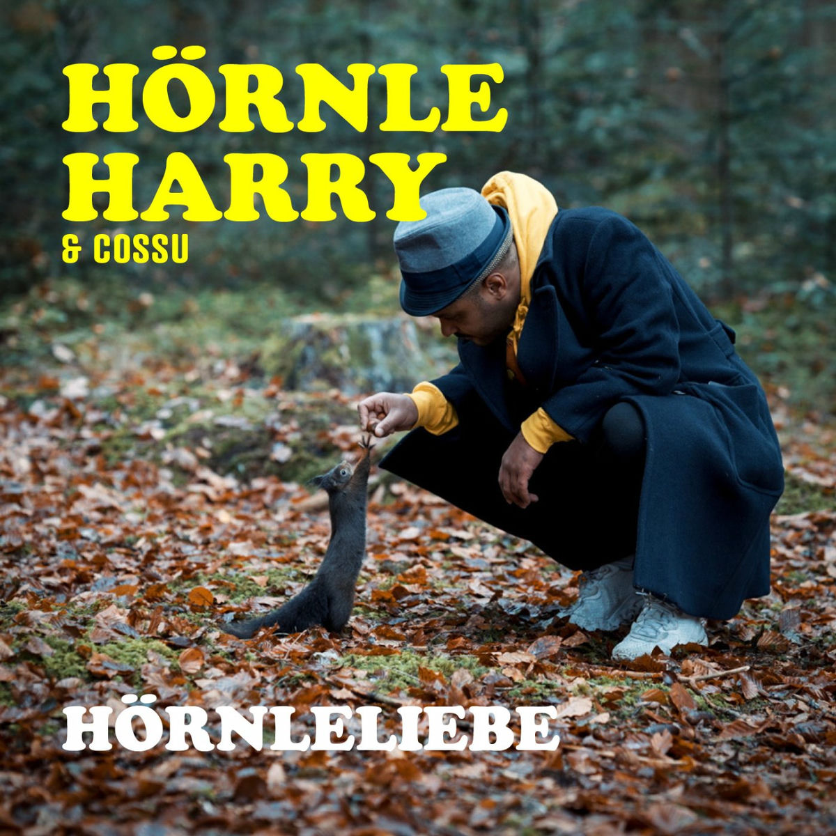 Album cover of Hörnleliebe