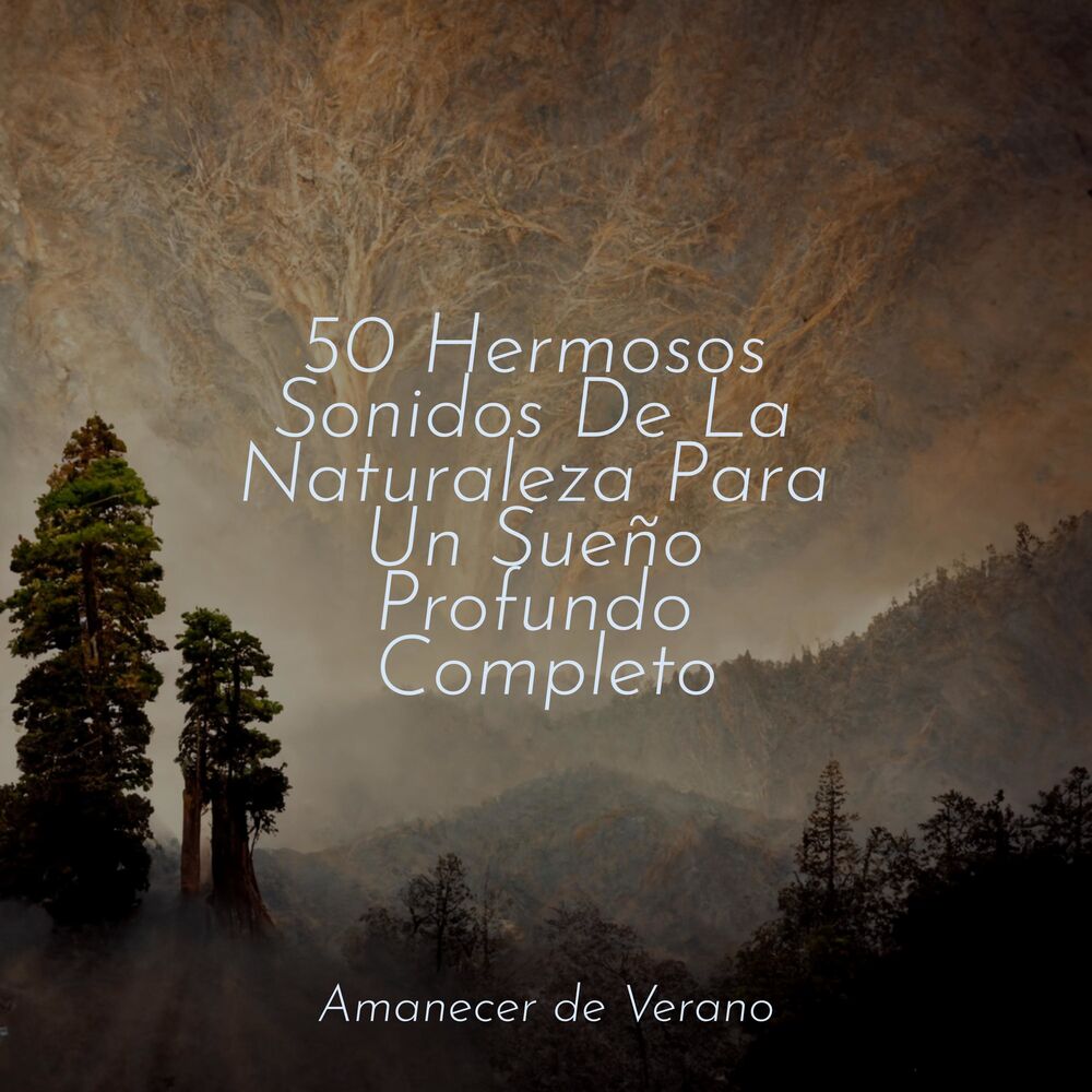 Picture of 50 Hermosos Sonidos De La Naturaleza Para Un Sueño Profundo Completo