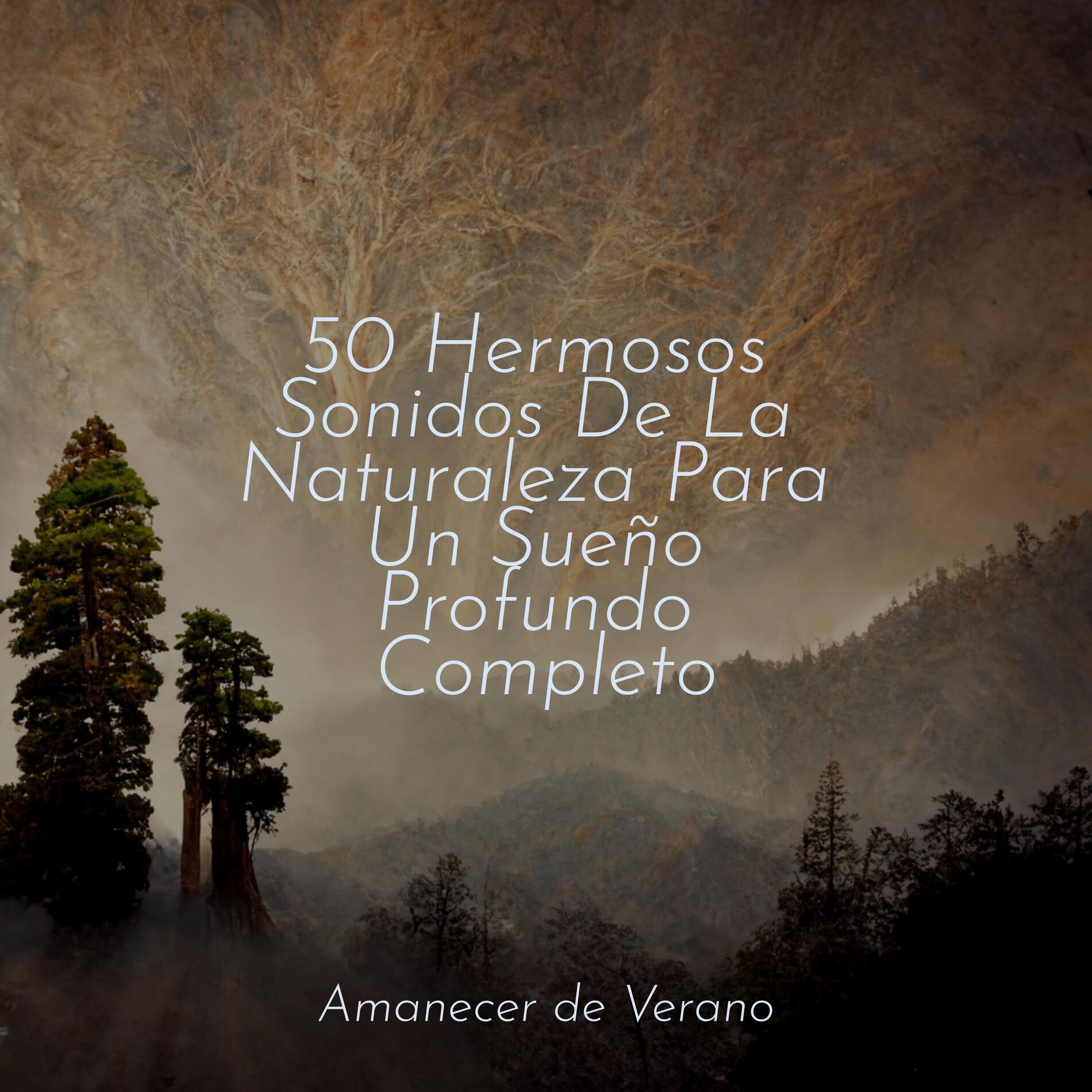 Album cover of 50 Hermosos Sonidos De La Naturaleza Para Un Sueño Profundo Completo