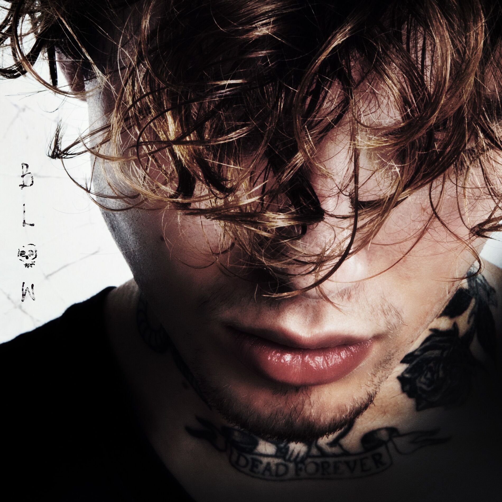 Album cover of Blow