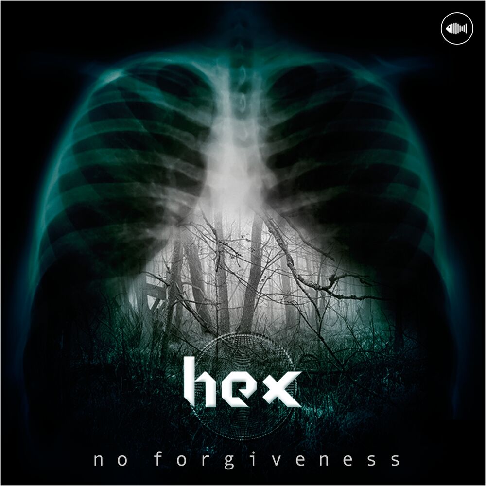 Picture of No Forgiveness