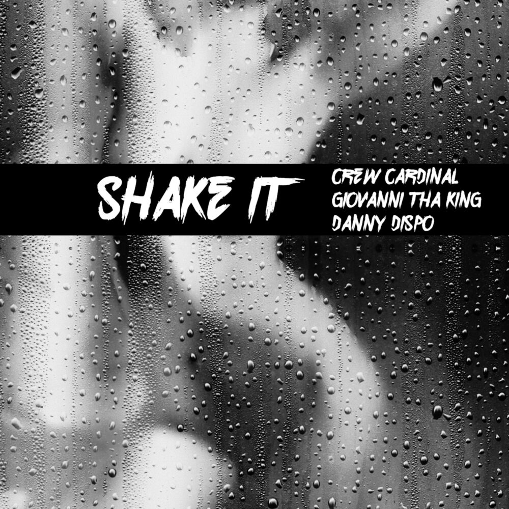 Picture of Shake It (feat. Giovanni Tha King & Danny Dispo)