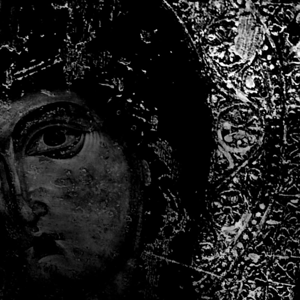 Album cover of Spellewauerynsherde