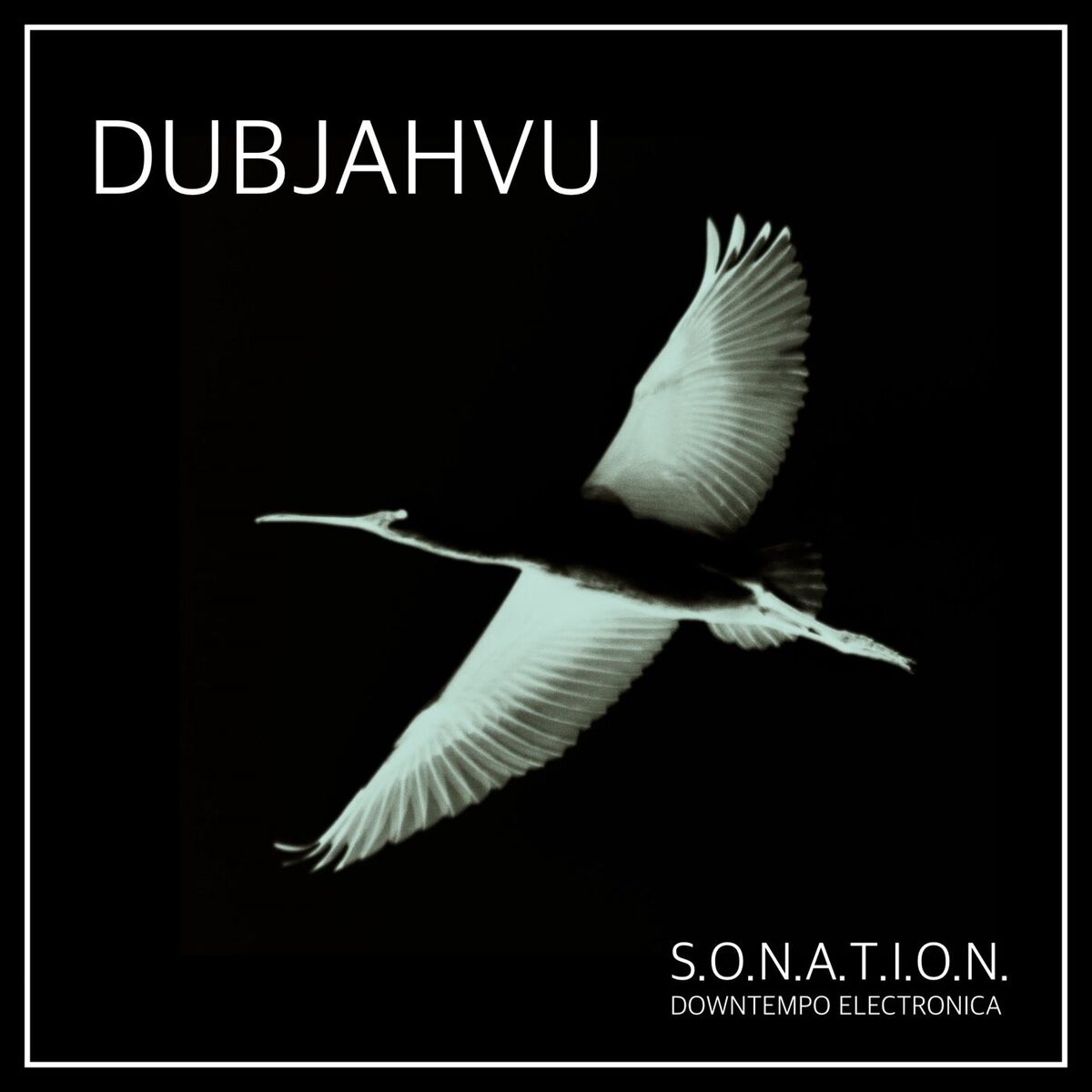 Album cover of Dubjahvu