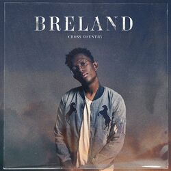 Cover of Cross Country