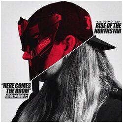 Cover of Here Comes the Boom