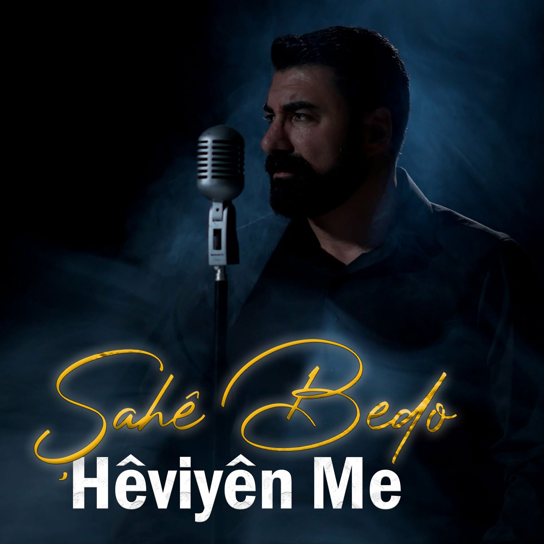 Album cover of Hêviyên Me