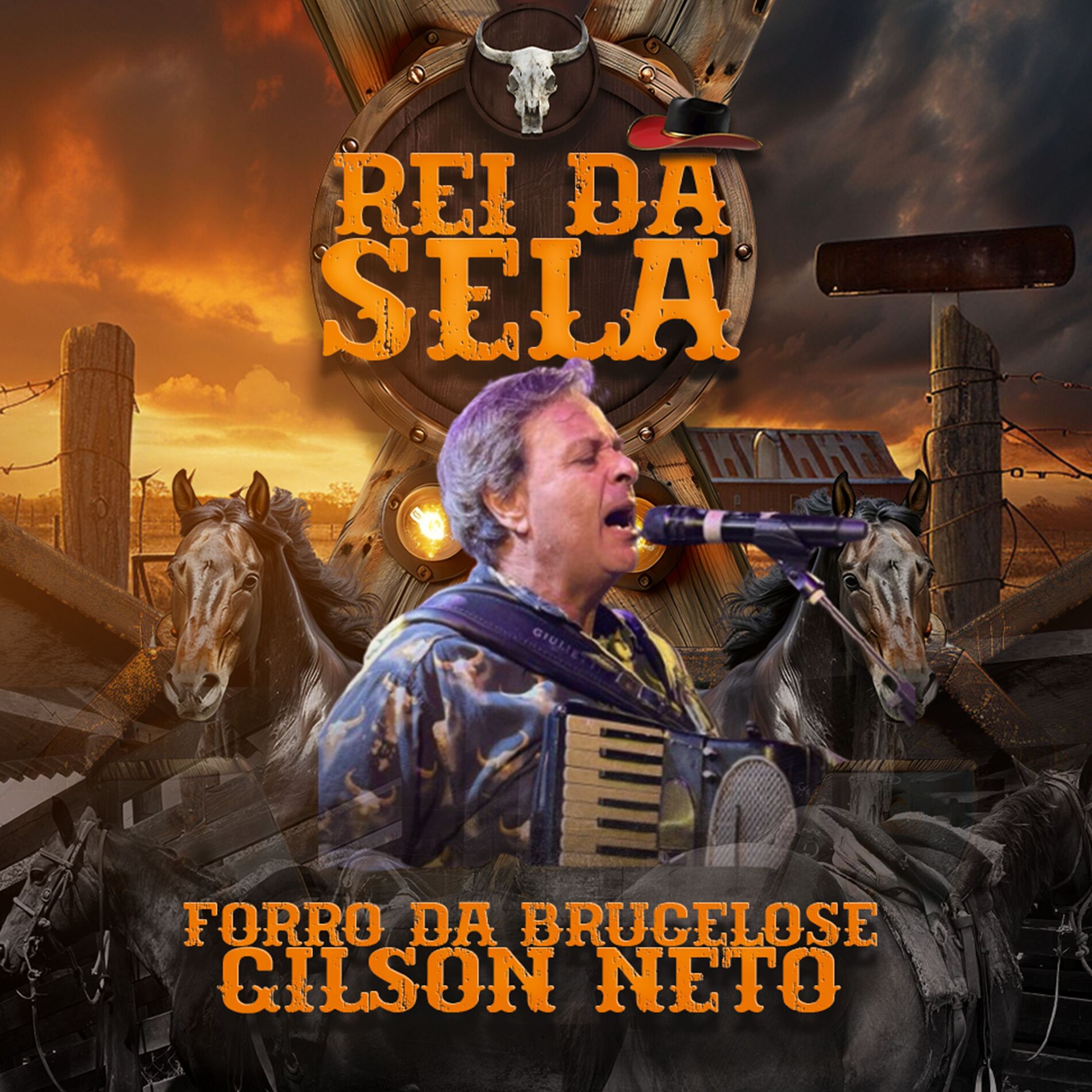 Album cover of Rei da Sela