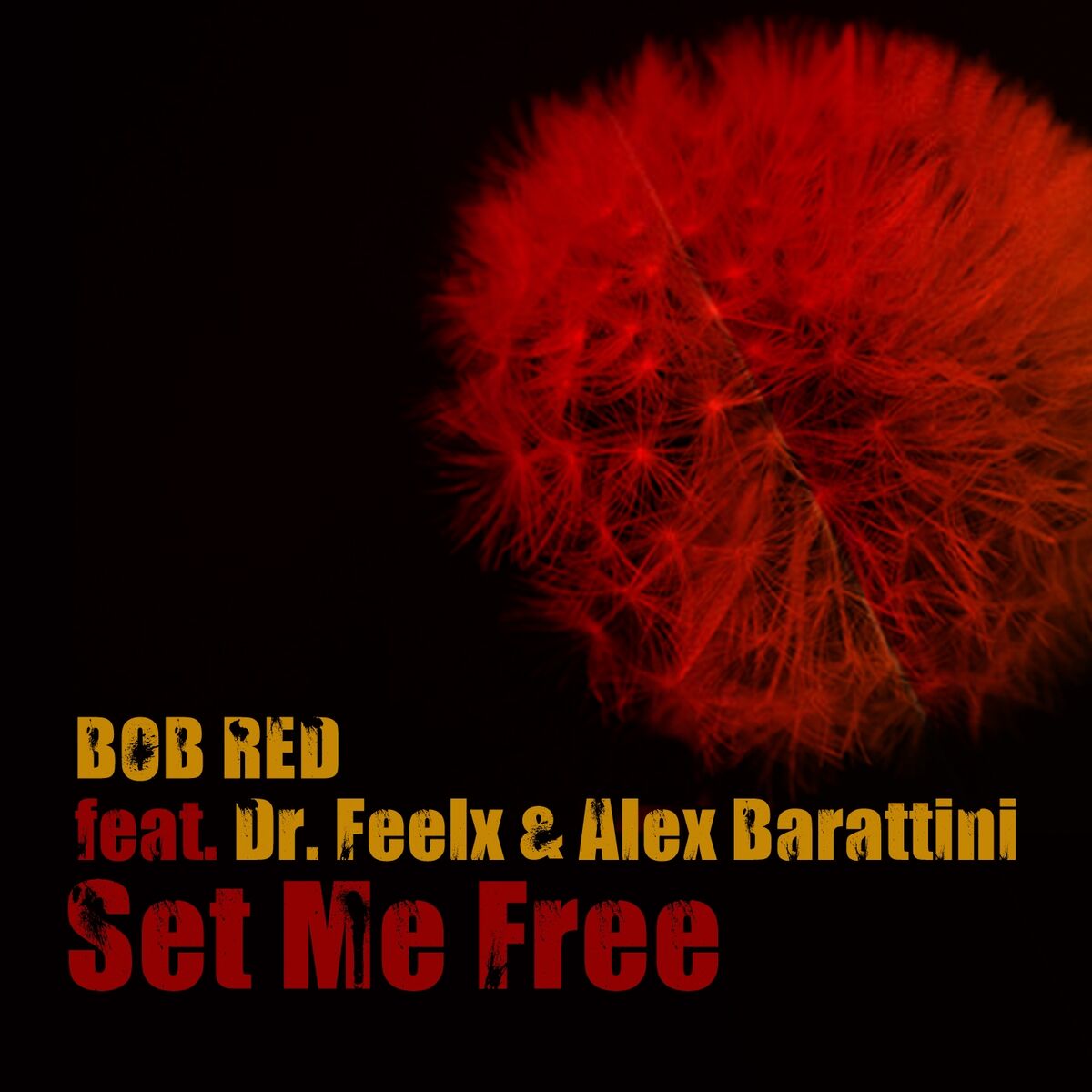 Album cover of Set Me Free