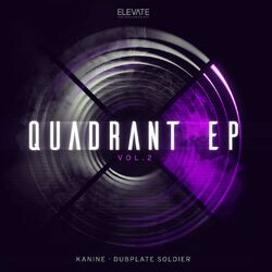 Cover of Dubplate Soldier