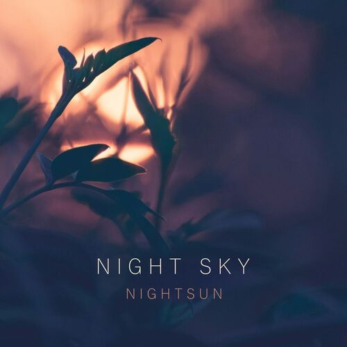  Night Sky - Nightsun (2025) 