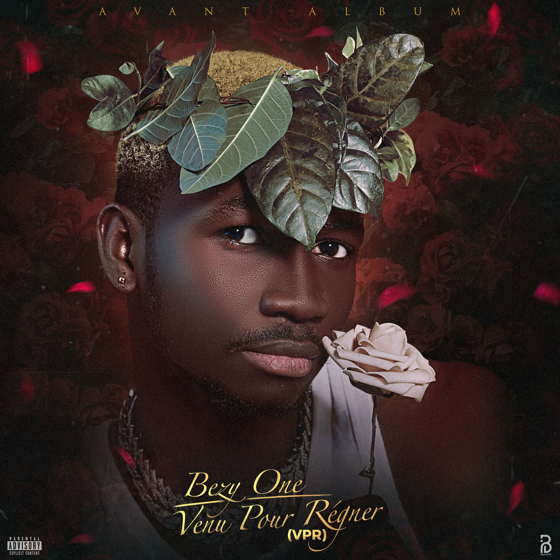 Album cover of Venu pour régner (vpr)