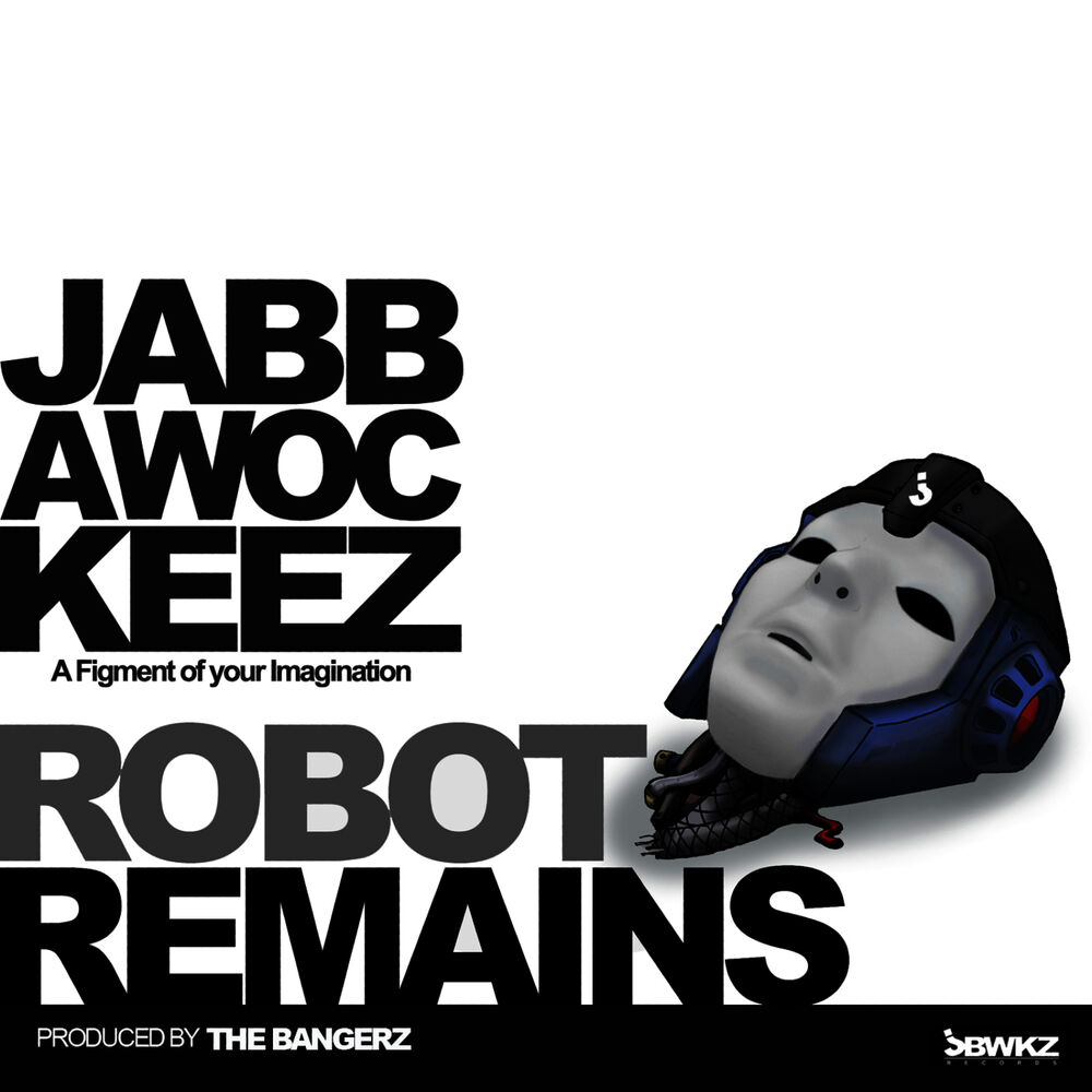 Picture of Robot Remains