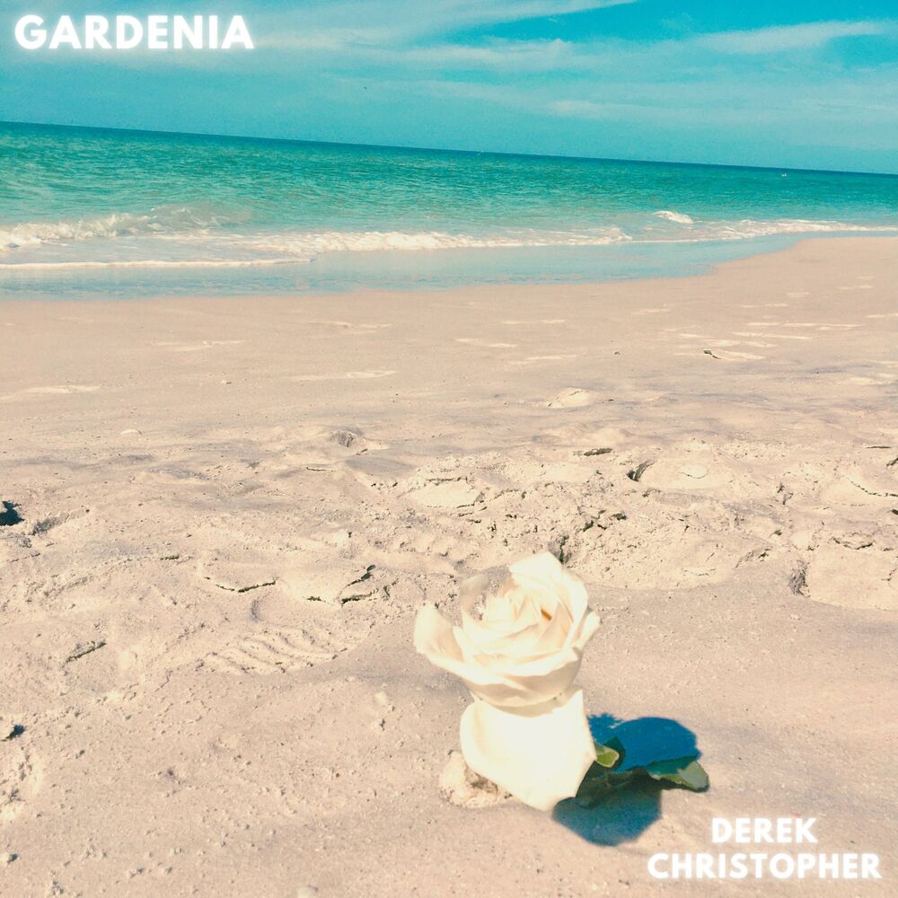 Picture of Gardenia