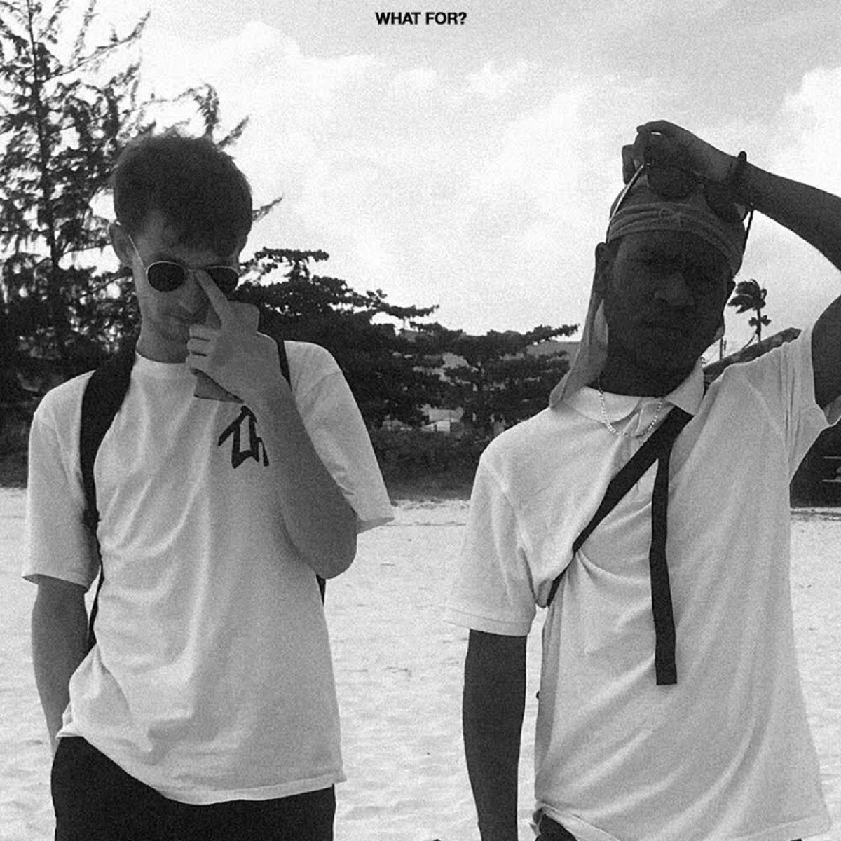 Album cover of What For