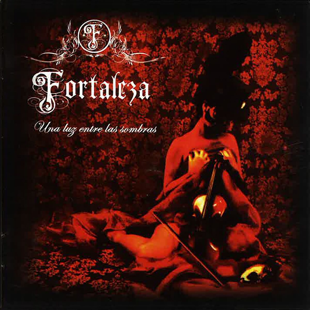 Album cover of Una Luz Entre las Sombras