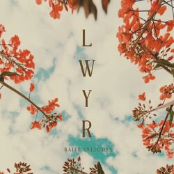 Cover of LWYR