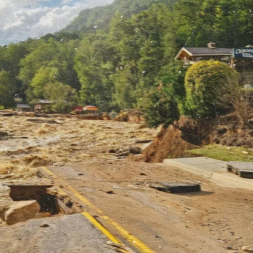 Picture of everything is gone (hurricane helene tribute)