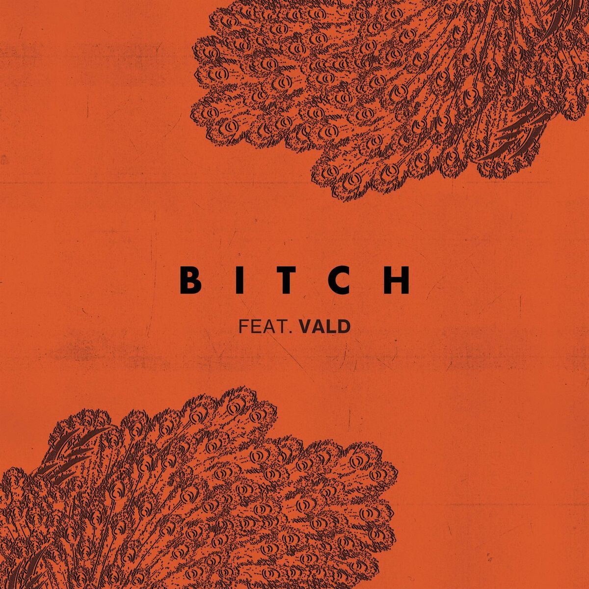 Album picture of Bitch (feat. Vald)