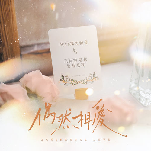 偶然相爱 (广播剧《在一起后男神说他蓄谋已久》主题曲)