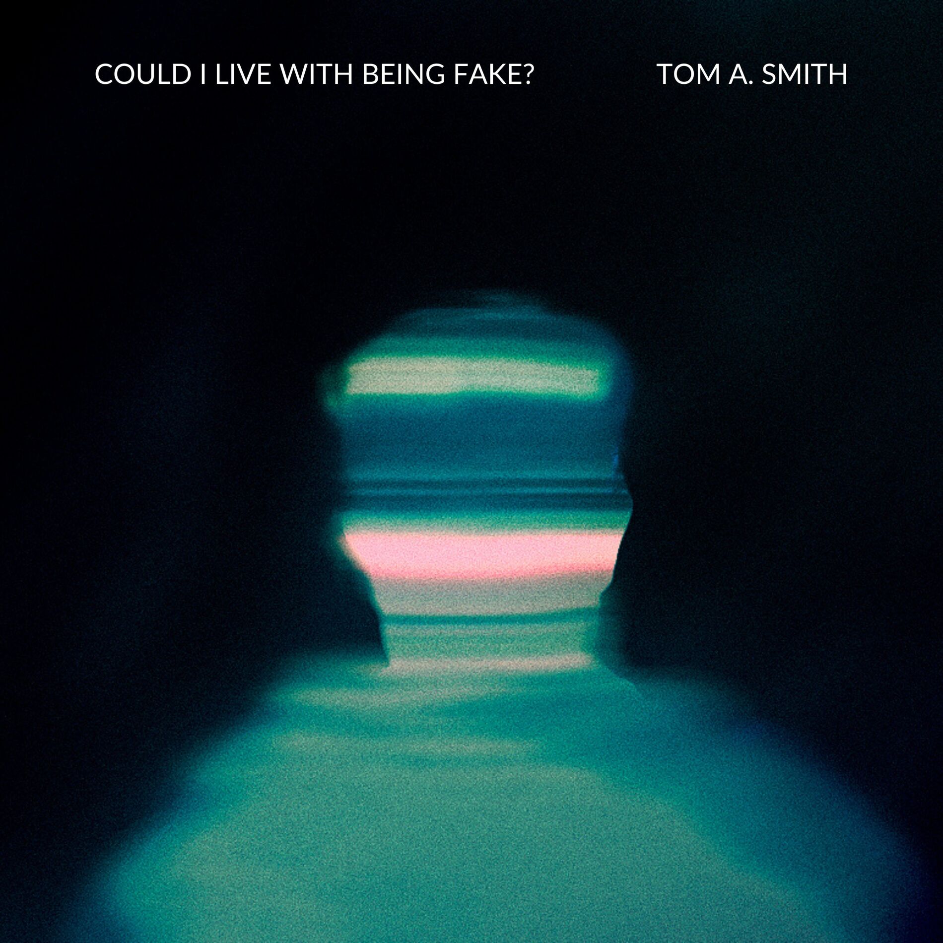 Album cover of Could I Live With Being Fake