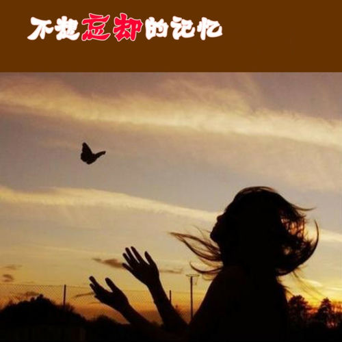 不想忘却的记忆