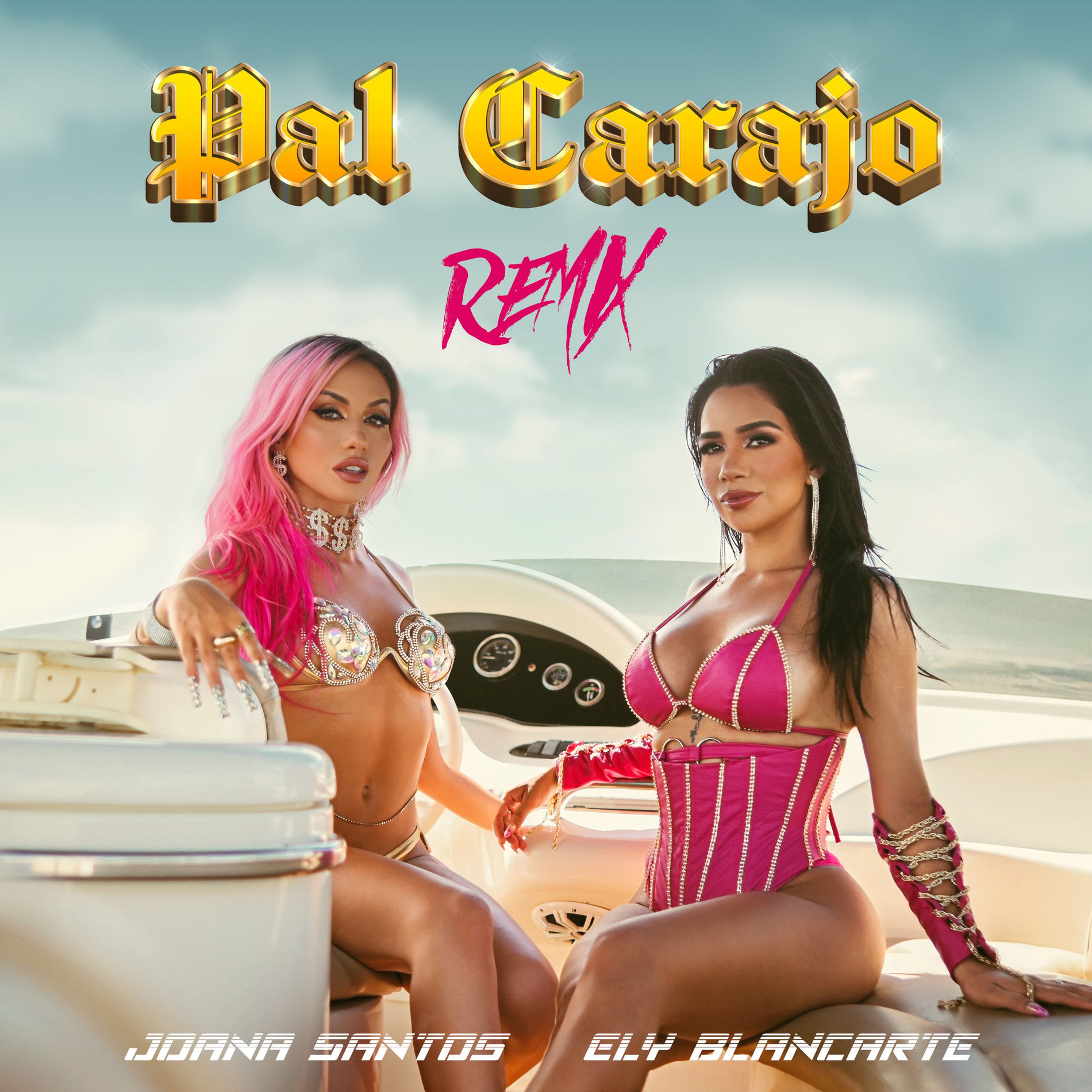 Album cover of Pal Carajo (Remix)