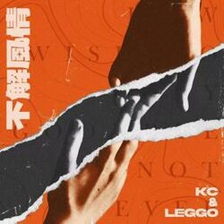 Cover of 不解风情