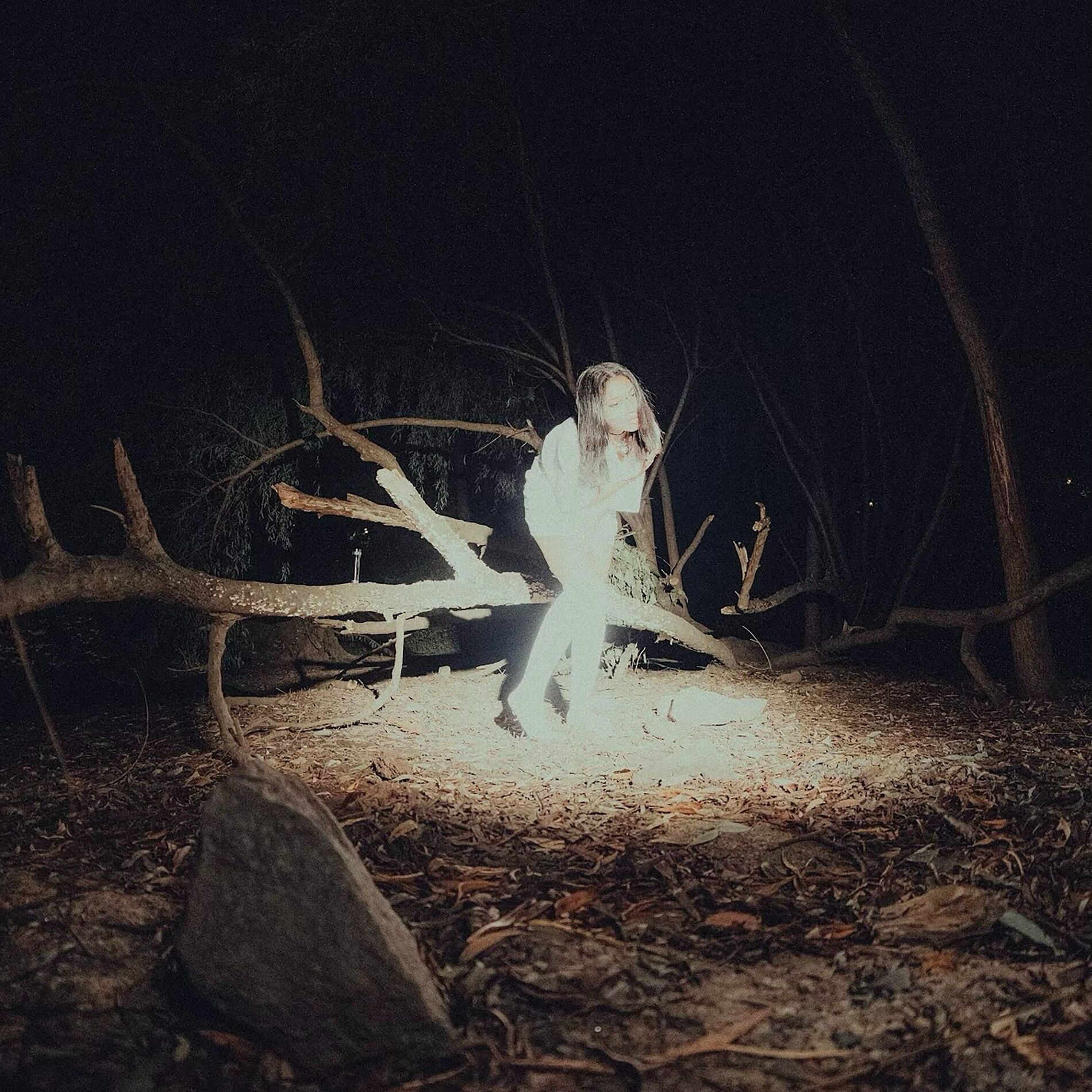 Album cover of loser :(