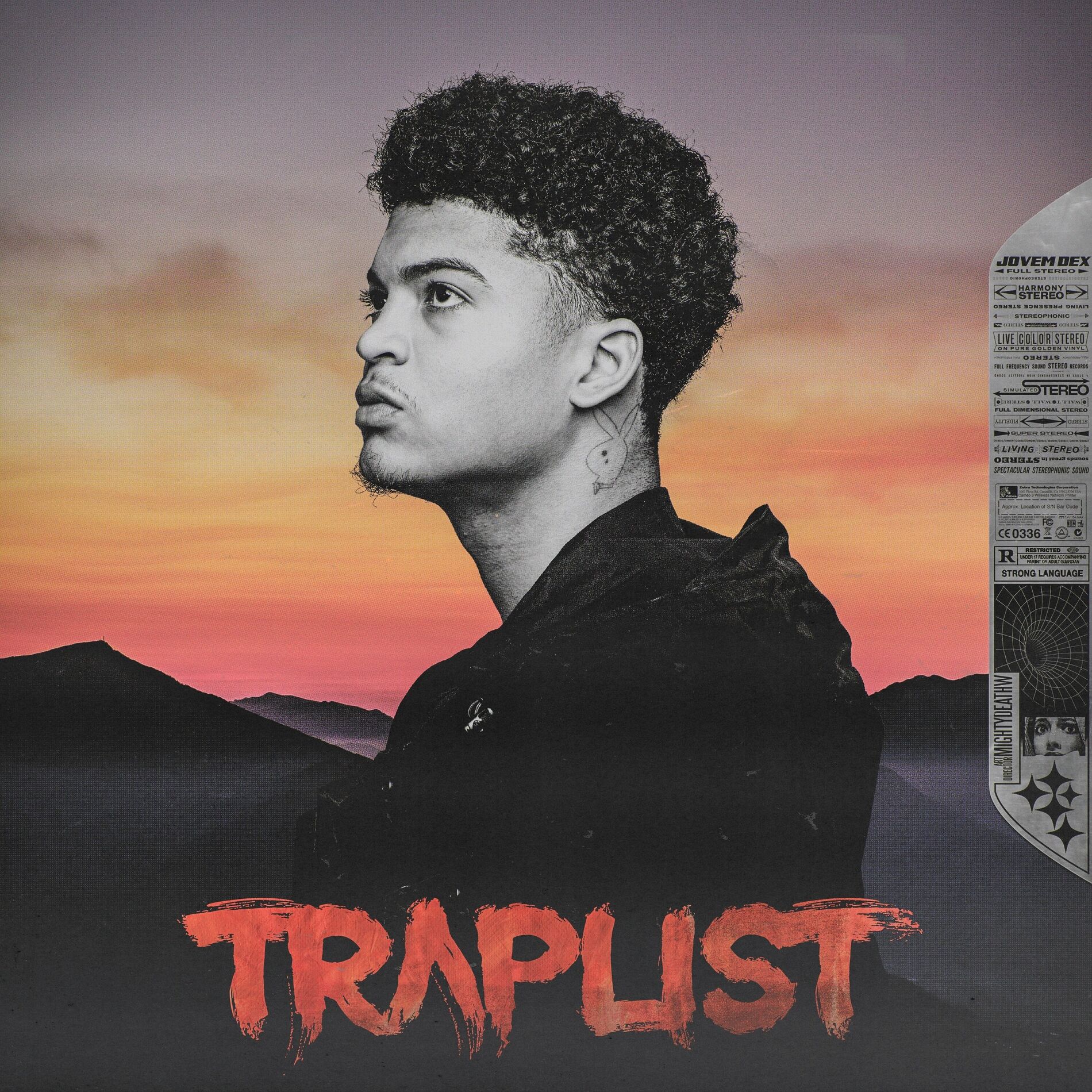 Album cover of Visionário