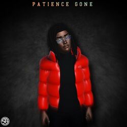 Cover of Patience Gone