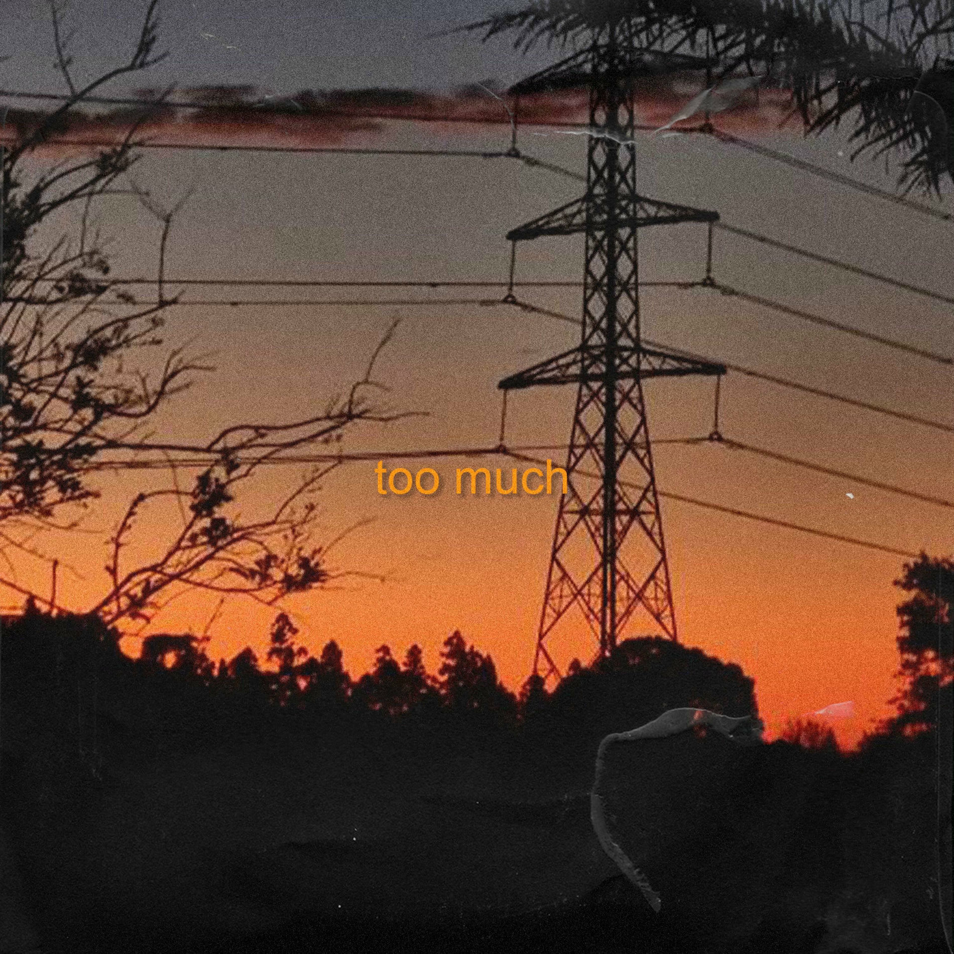 Album cover of too much