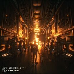 Cover of Into The Light