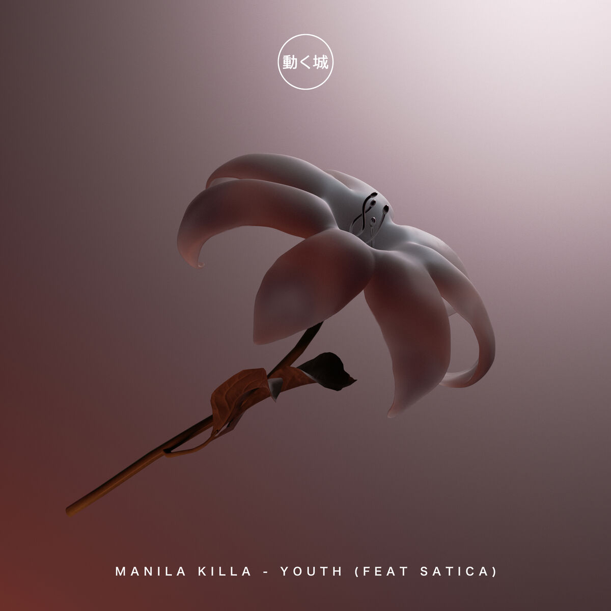 Album cover of Youth