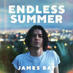 Cover of Endless Summer