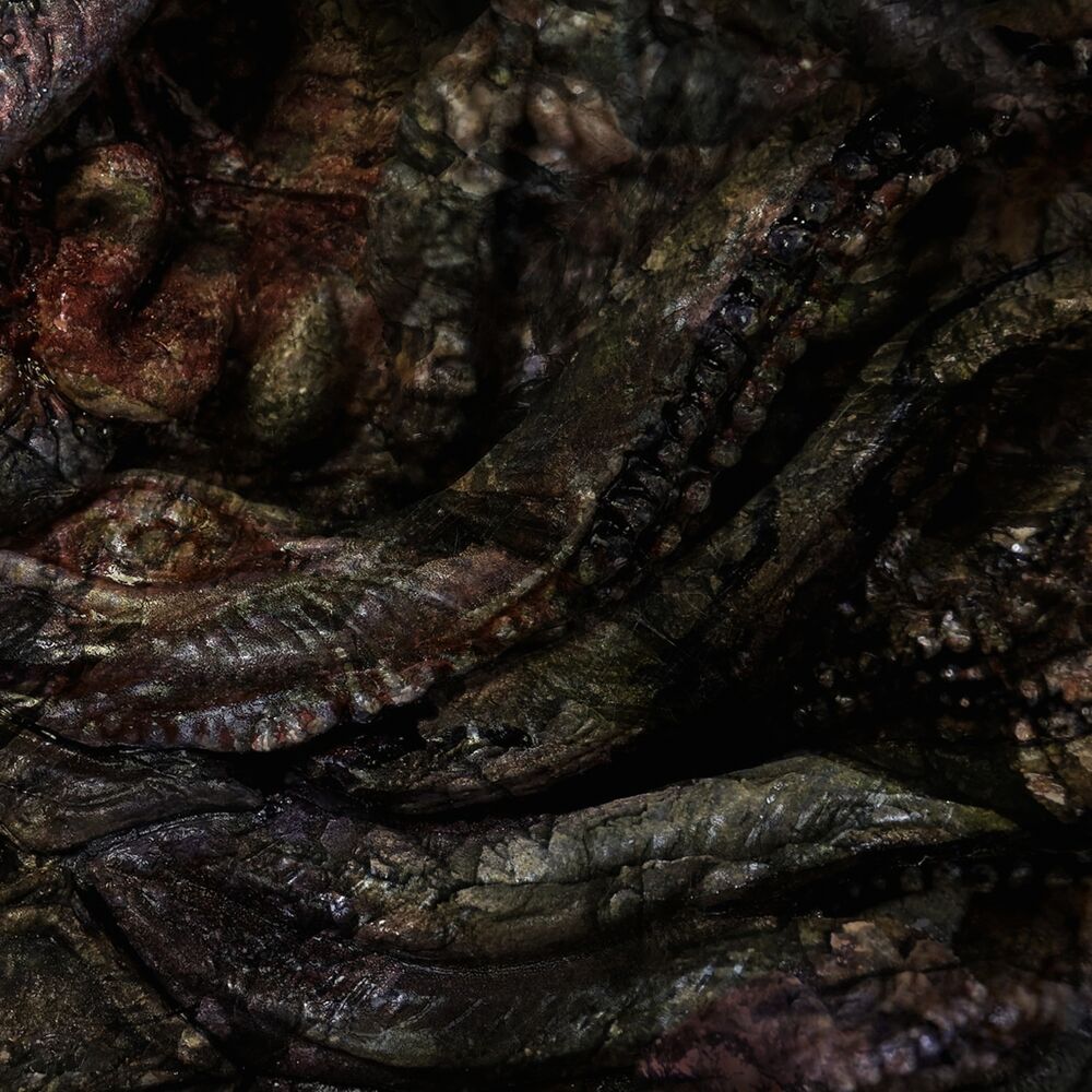 Picture of Exsciccation