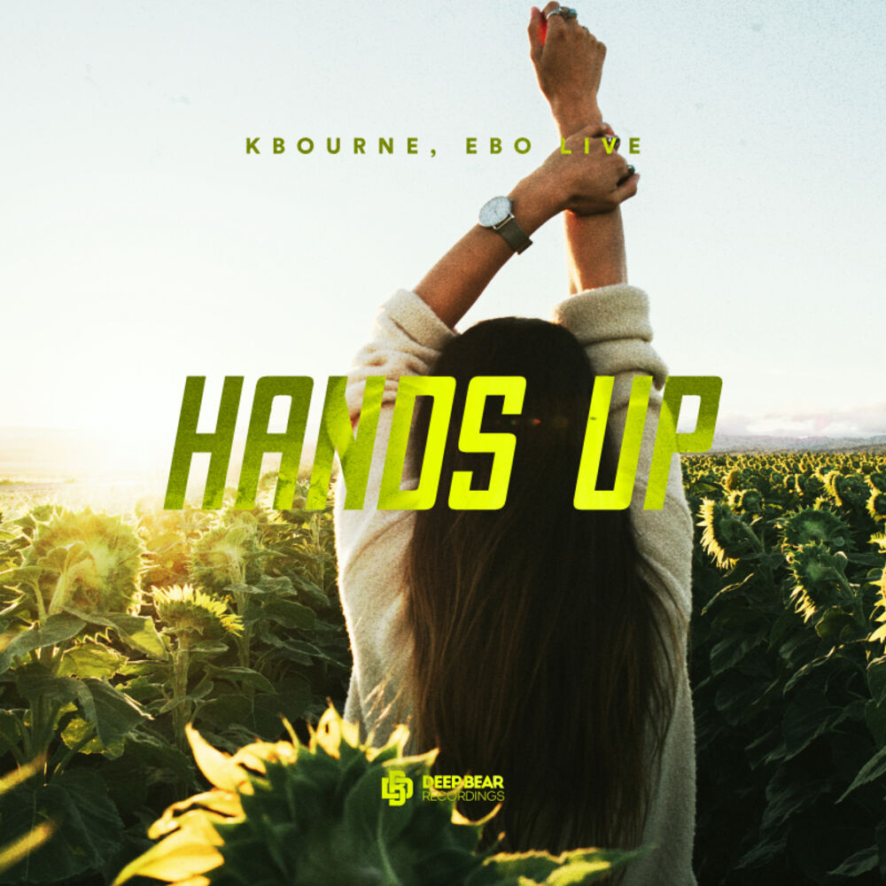 Picture of Hands Up