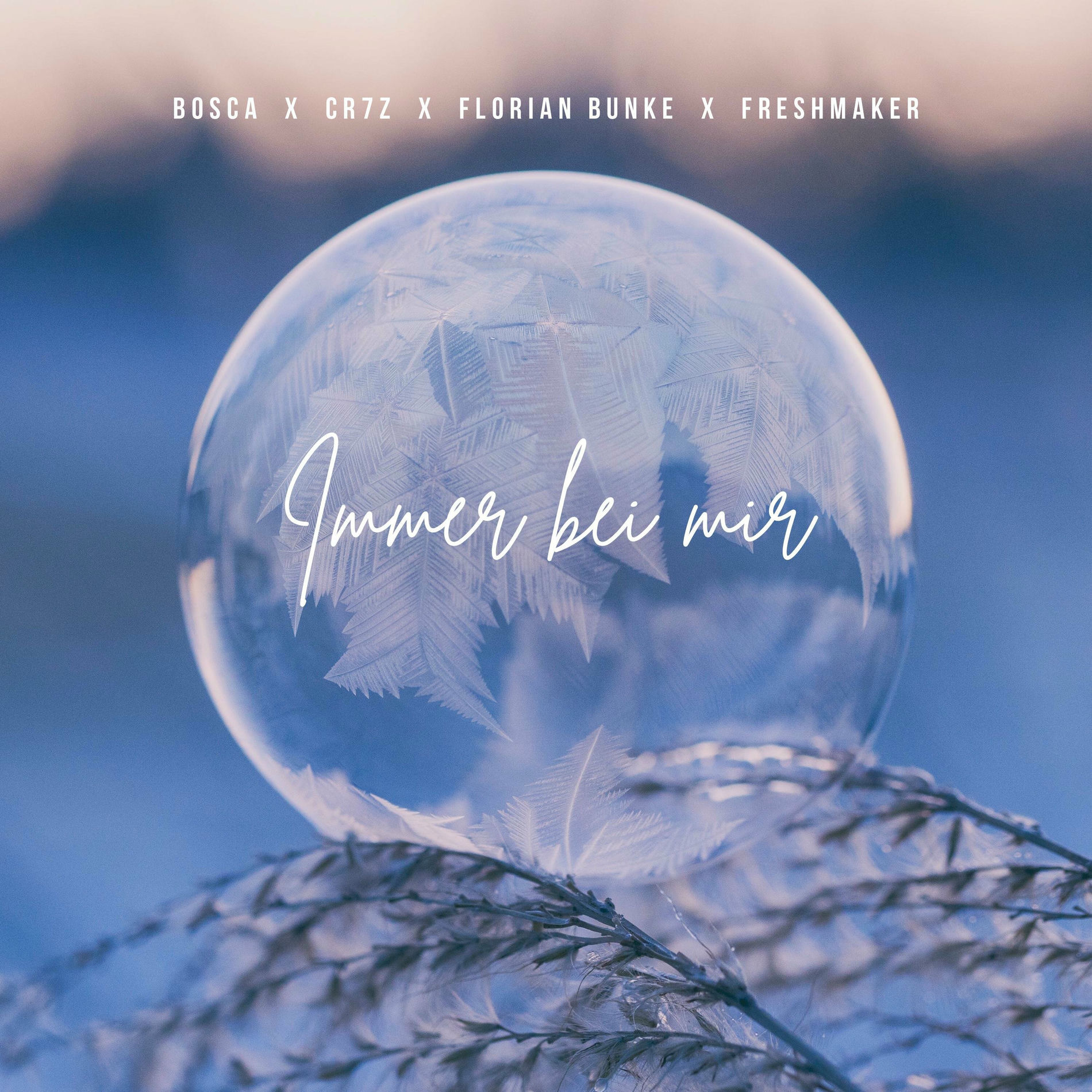 Album cover of Immer bei mir