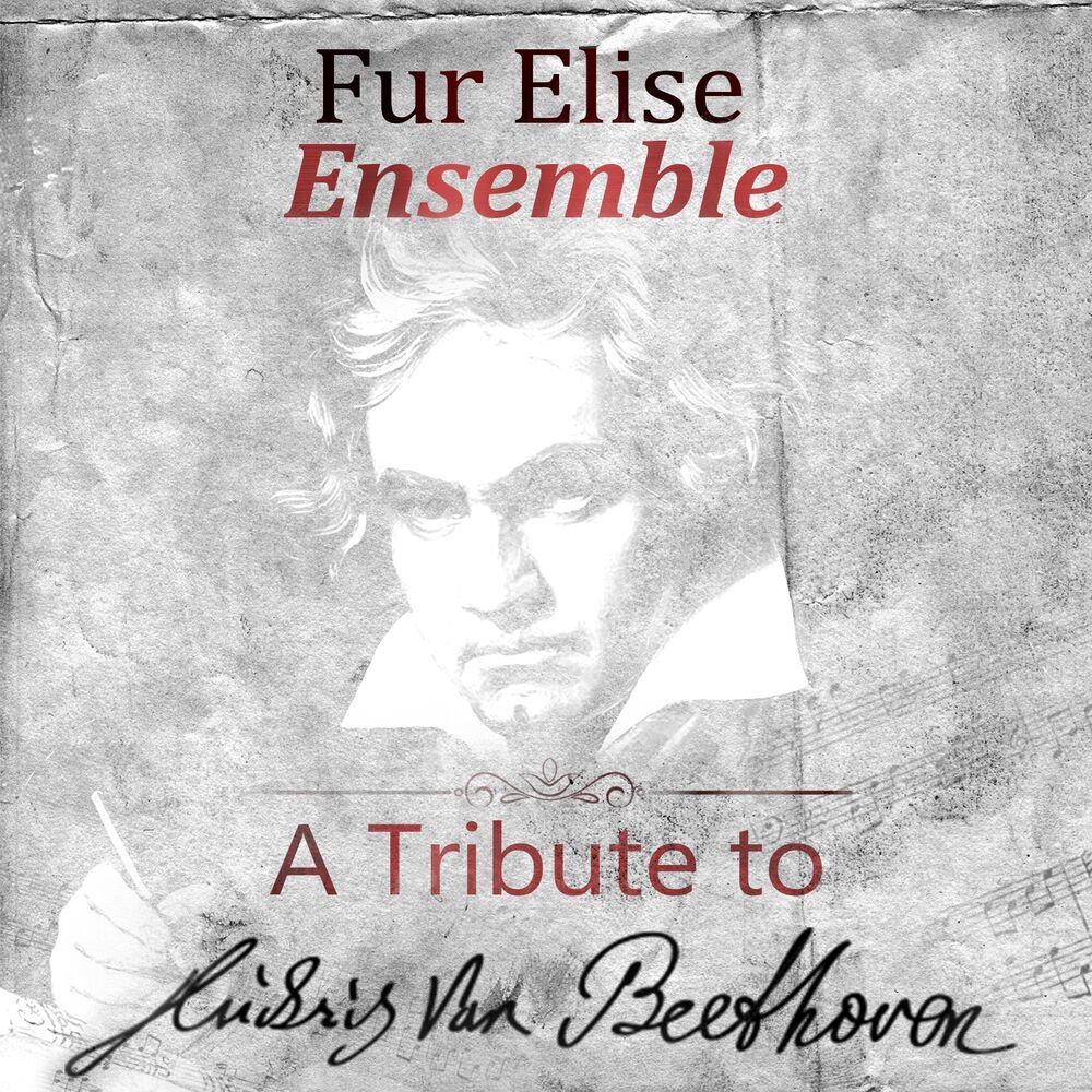 Picture of A Tribute To Ludwig van Beethoven