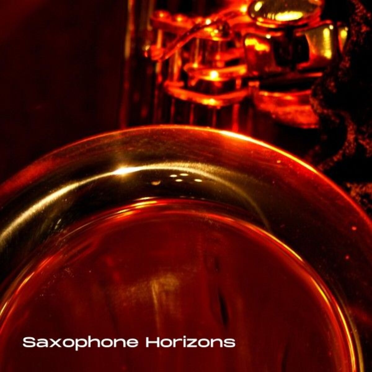 Album cover of Saxophone Horizons