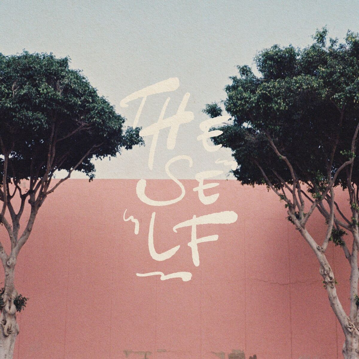 Album cover of The Self