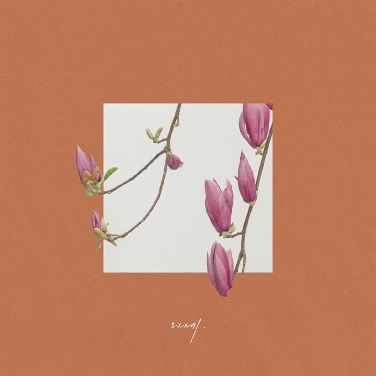 Album cover of Middle of the Mystery