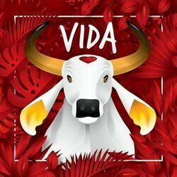 Cover of Vida (Ao Vivo)