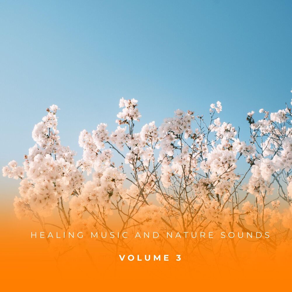 Picture of Healing Music And Nature Sounds Vol. 3