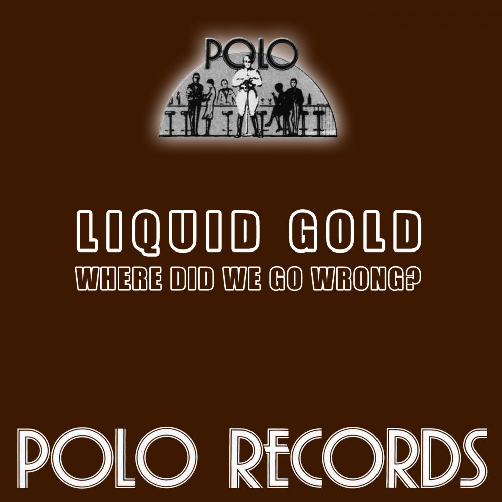 Albumhoes van Where did we go wrong — Liquid gold
